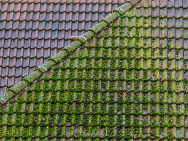 Un routeur avec trois antennes est posé sur une table.