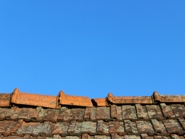 Une personne branche un tas de fils sur un serveur.