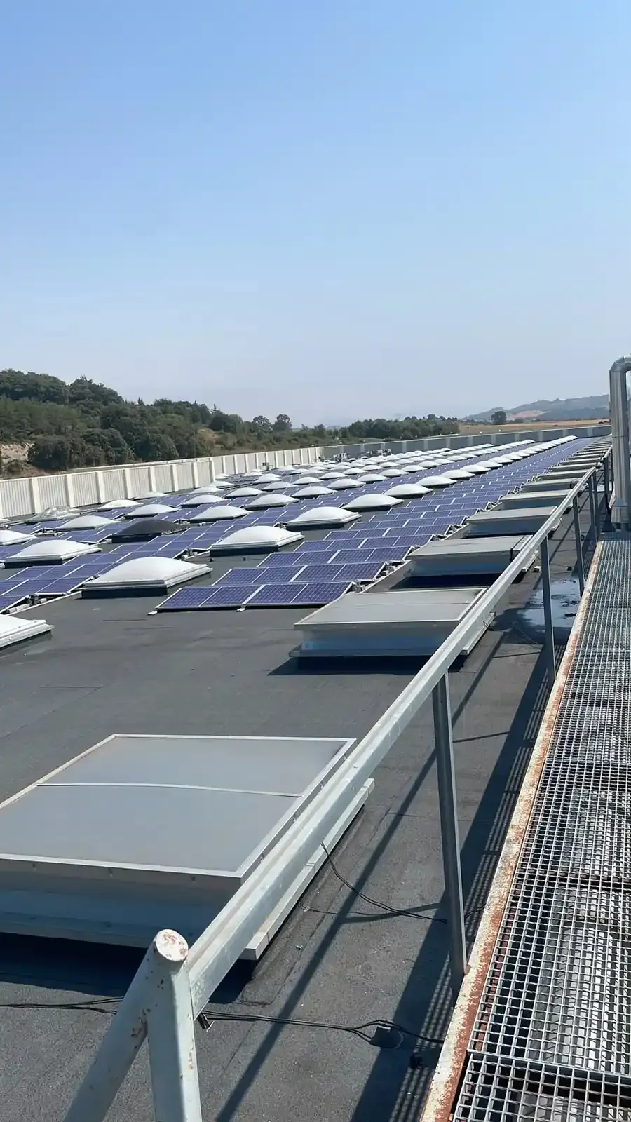 Paneles solares dispuestos en una gran azotea bajo un cielo azul despejado.