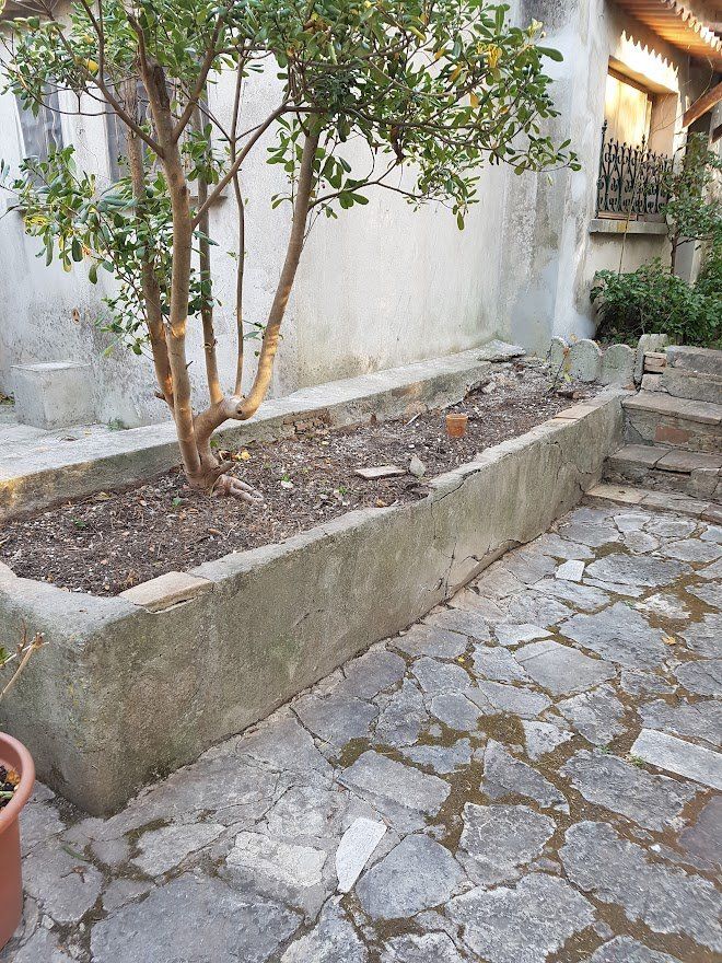 Allée de jardin avant les travaux