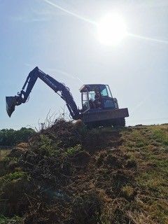 Großer gelber Bagger auf einer Baustelle beim Bewegen von Sand und Erdreich, umgeben von grüner Natur.