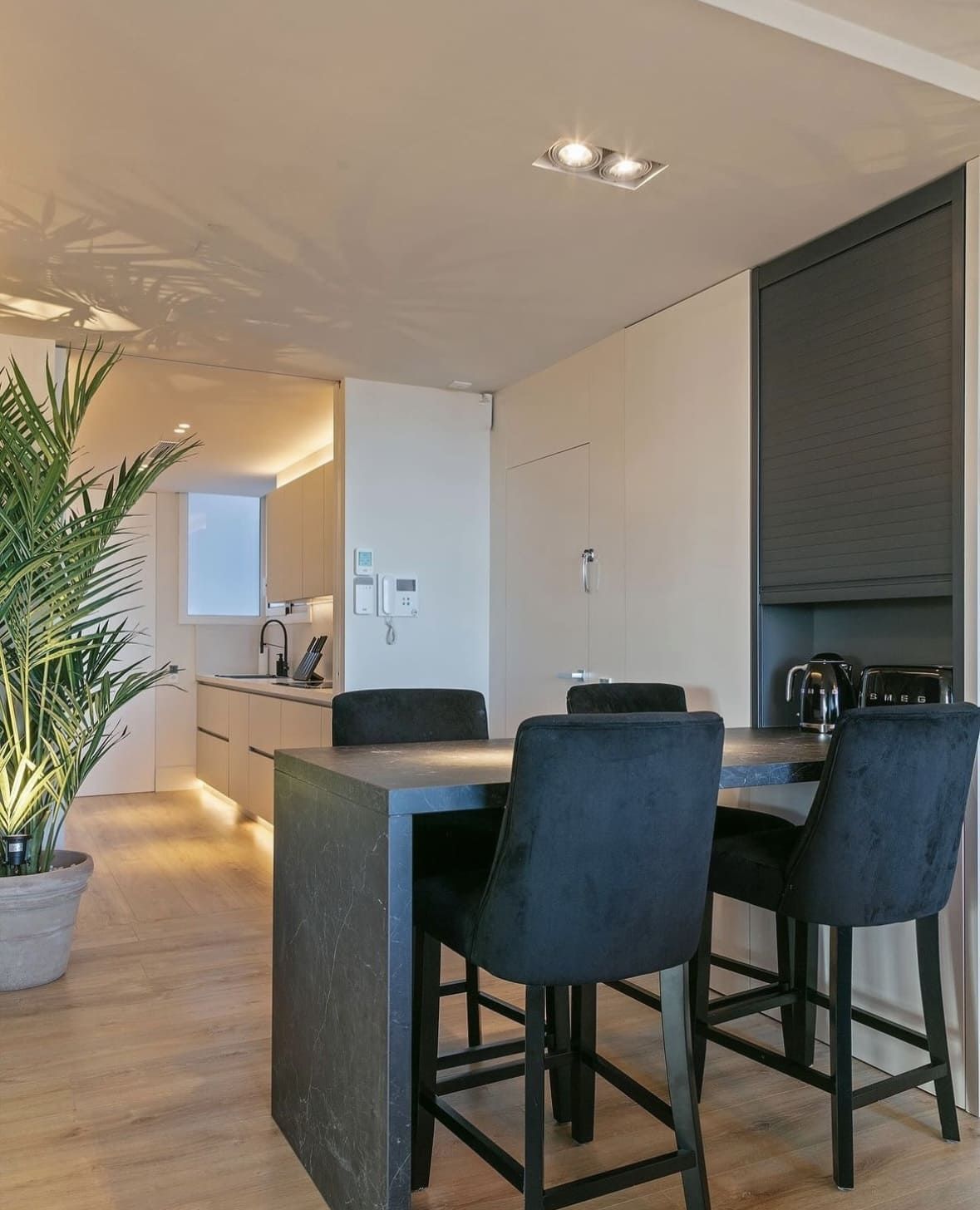 Cocina moderna y comedor con una mesa oscura, sillas negras y una gran planta en maceta.