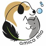 AMICO MIO DI BRAGA - LOGO