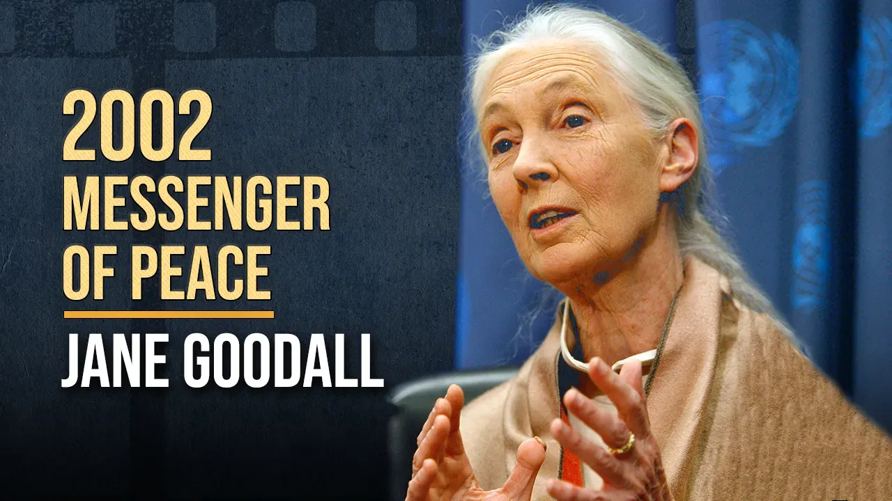 Jane Goodall, messagère de la paix