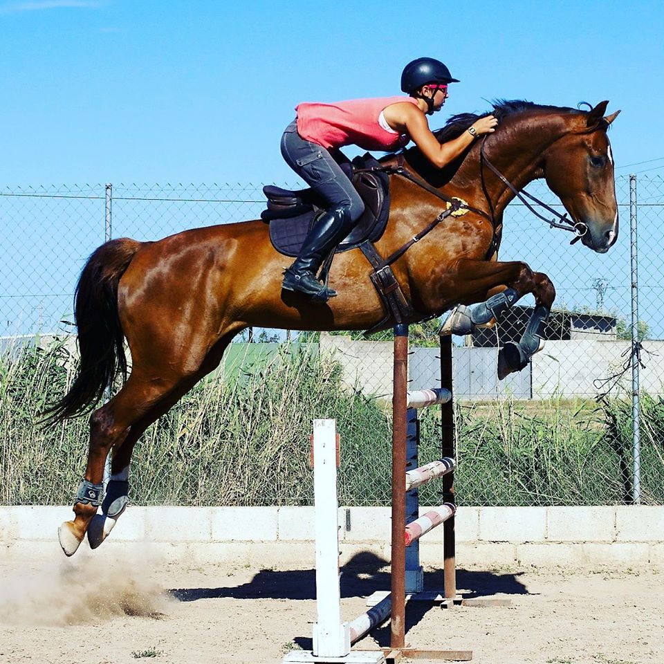 Cavalière et son cheval en train de sauter vu de profil
