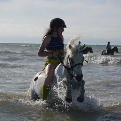 Baignade dans la mer avec le cheval
