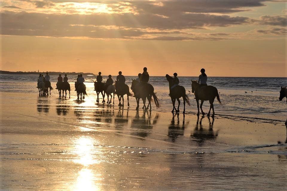 Cavaliers sur la plage sous le coucher du soleil