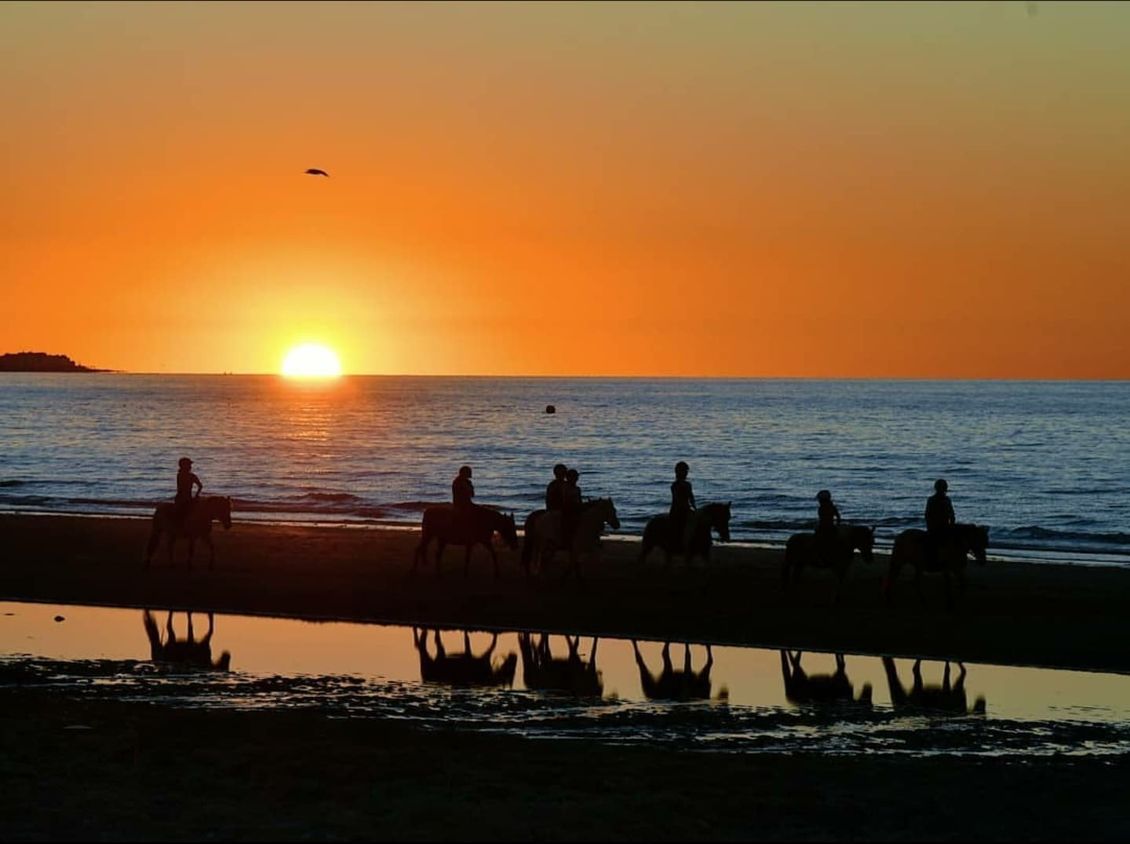 personnes qui se baladent à cheval sur la plage au coucher du soleil