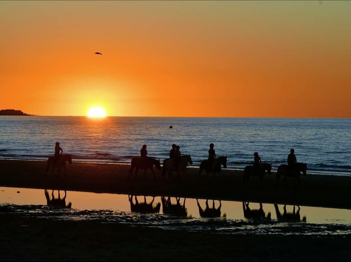 Des cavaliers sur la plage et un coucher de soleil