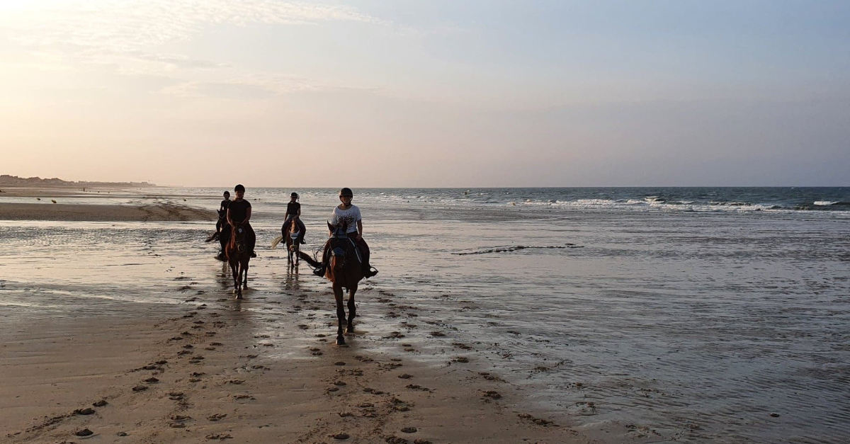 personnes qui se baladent à cheval sur la plage