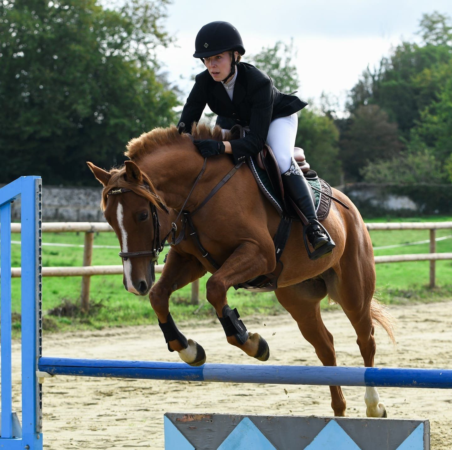 Cavalier en uniforme en train de sauter un obstacle sur le dos de son cheval