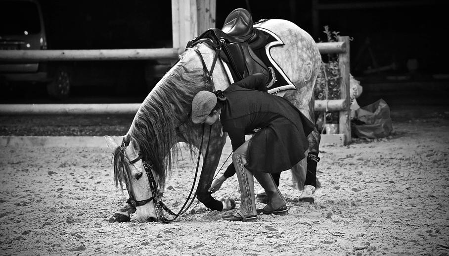 Cavalier apprenant à son cheval à se pencher