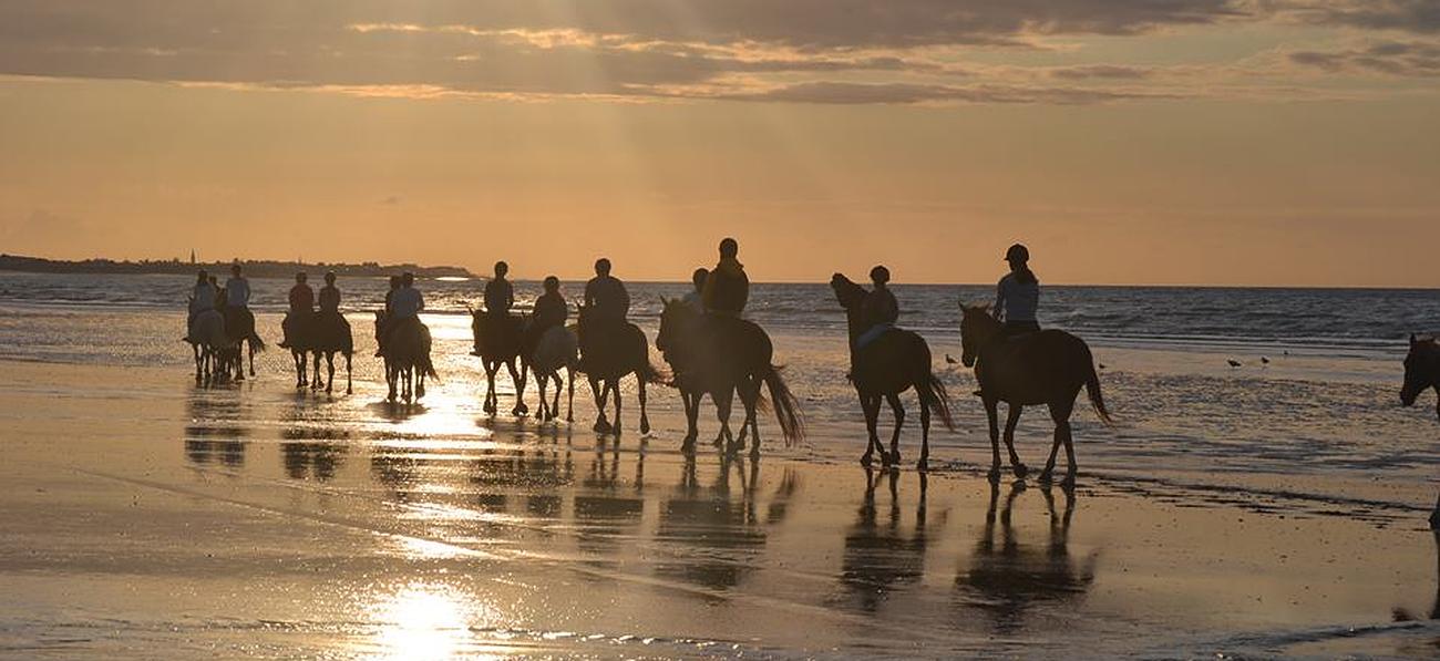 Groupe de personnes se promenant sur la plage à dos de cheval