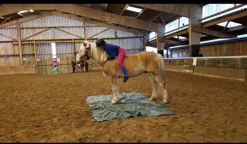 Enfant faisant un câlin à un cheval marron clair