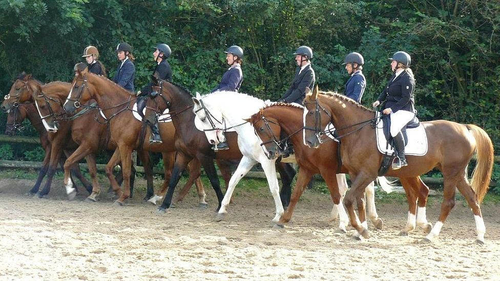 4 chevaux marrons et 1 blanc avec des cavaliers en uniforme sur le dos