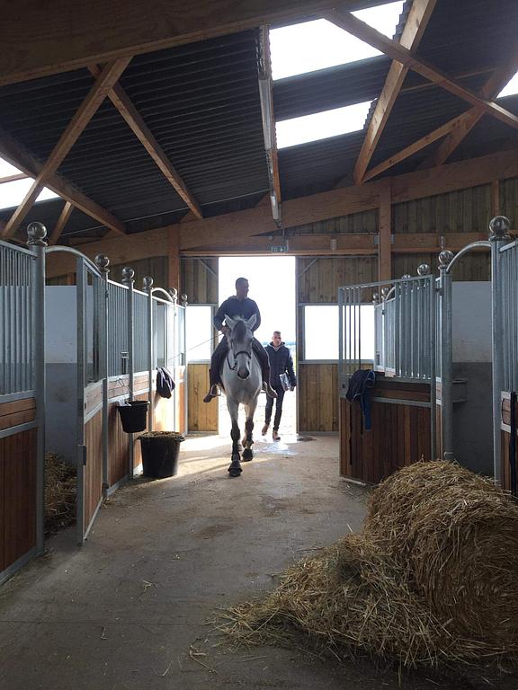 Chevaux entrant dans une écurie