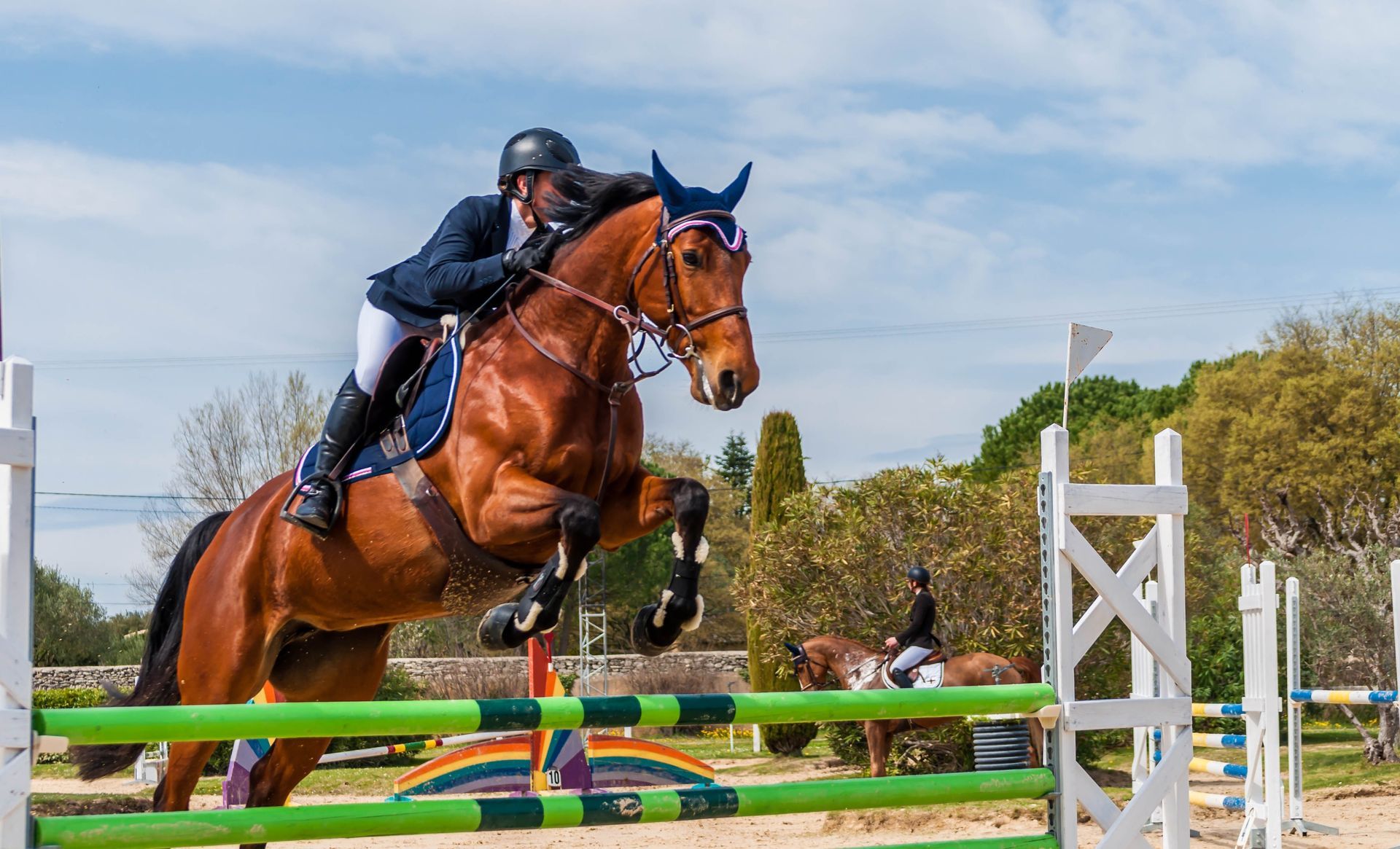 Concours hippique de saut d'obstacles