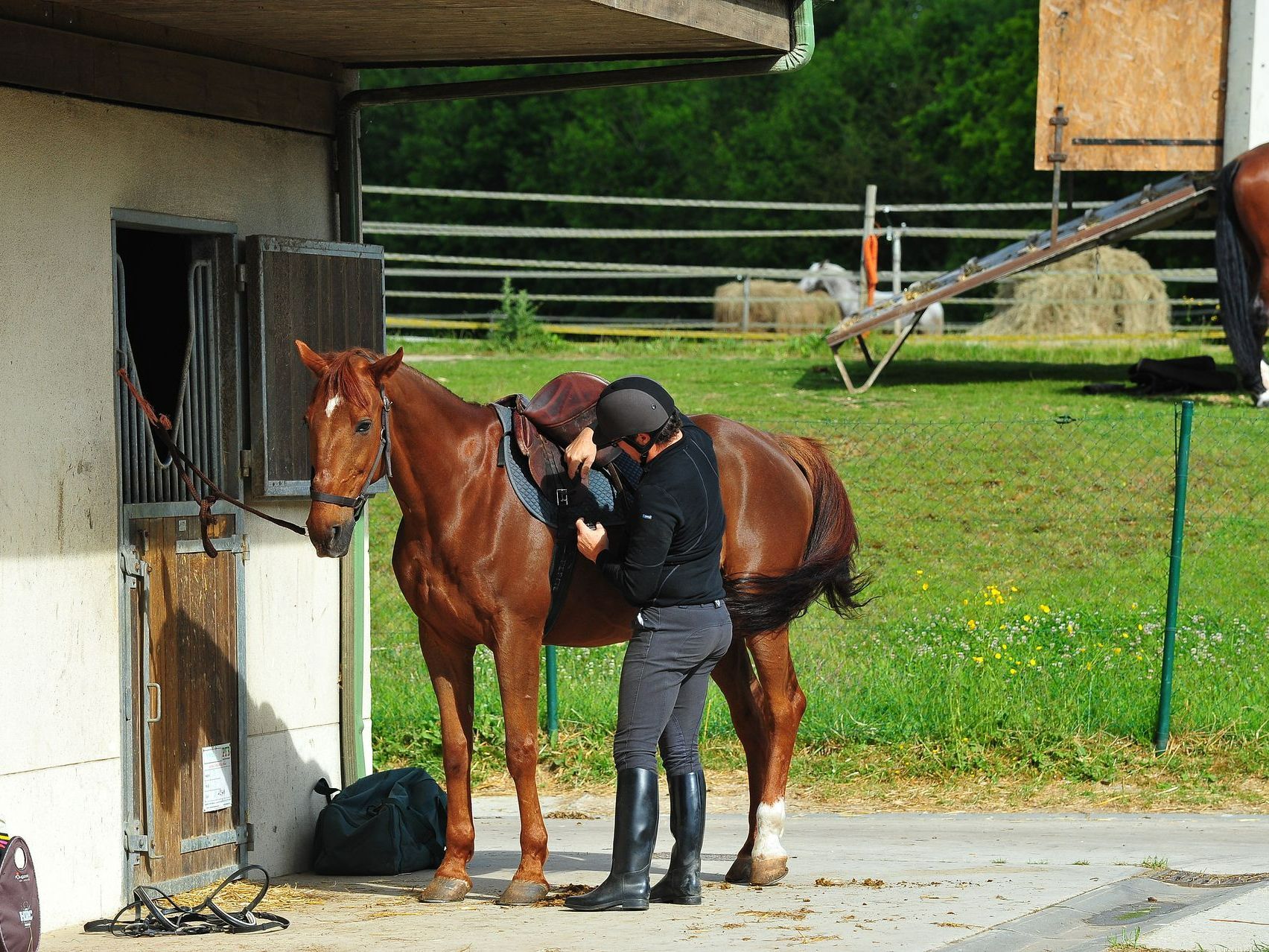 Cavalier sellant son cheval