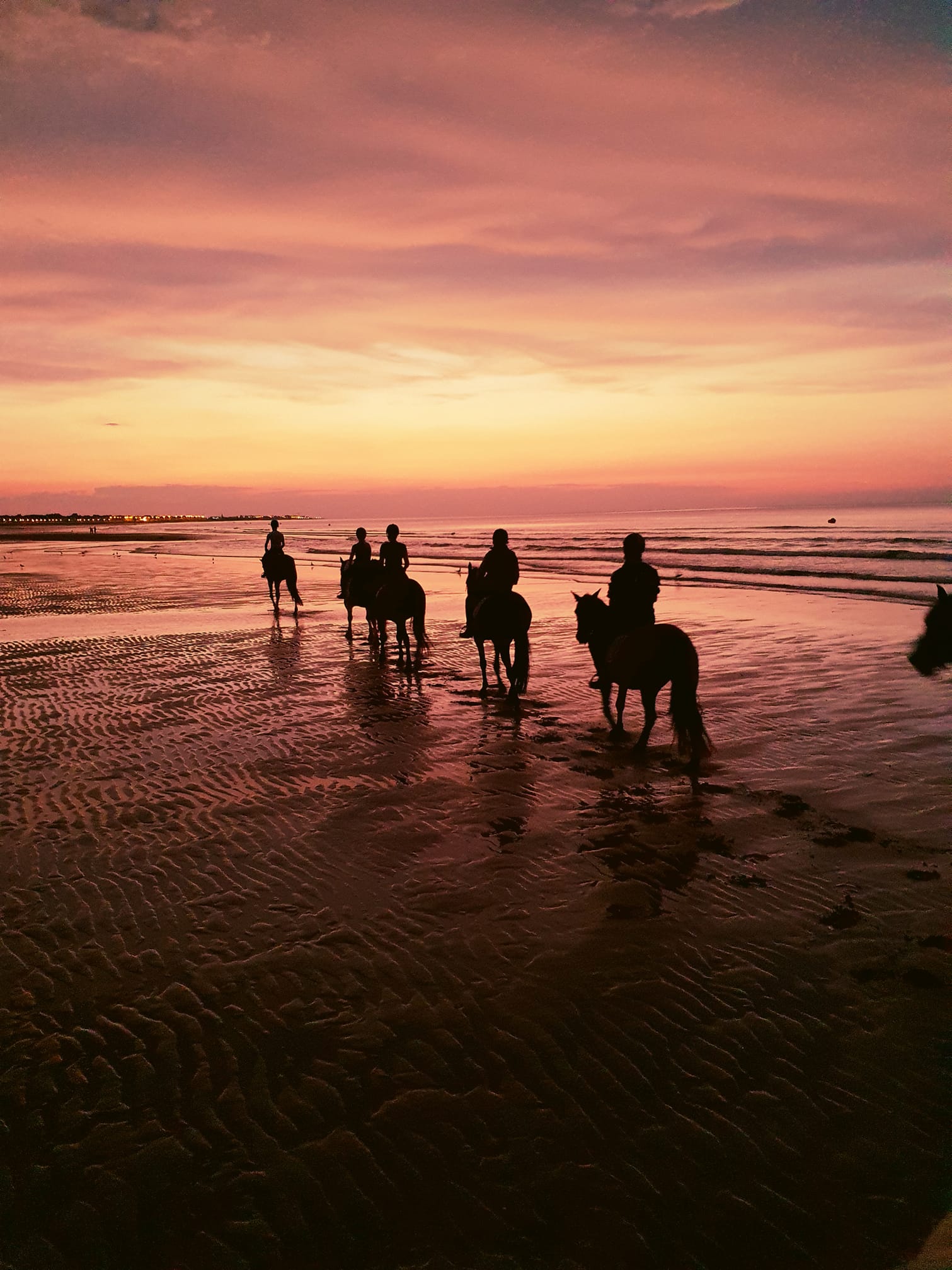 Cavaliers sur la plage sous le coucher du soleil donnant un ciel rose