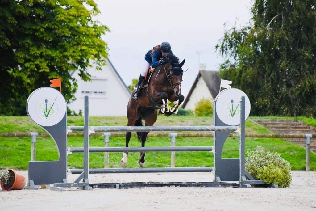 Duo de cheval et cavalier sautant un obstacle gris