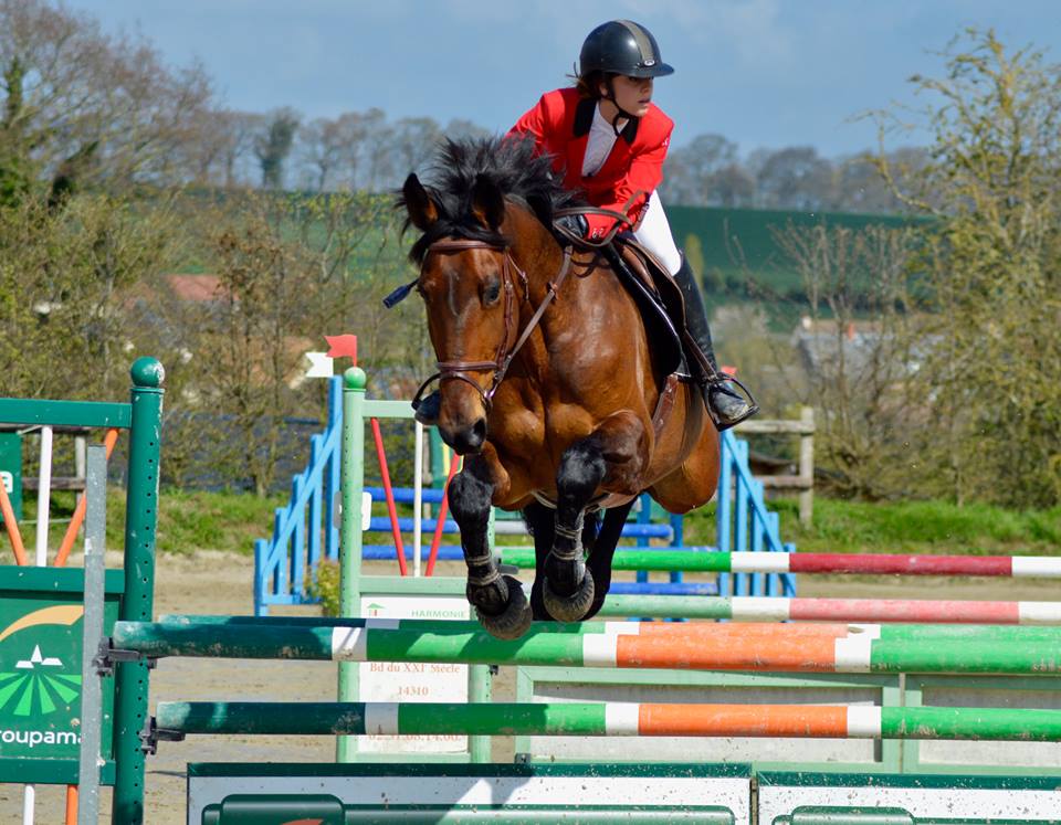 Cheval marron sautant au-dessus d'un obstacle avec sa cavalière à la veste rouge sur son dos