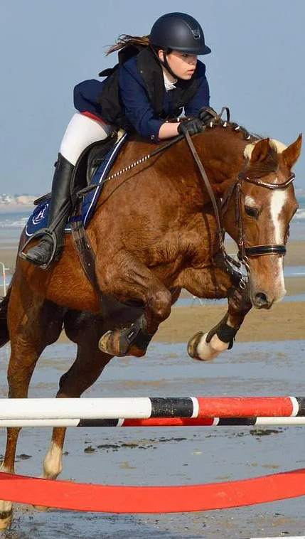 Cheval sautant un obstacle sur la plage