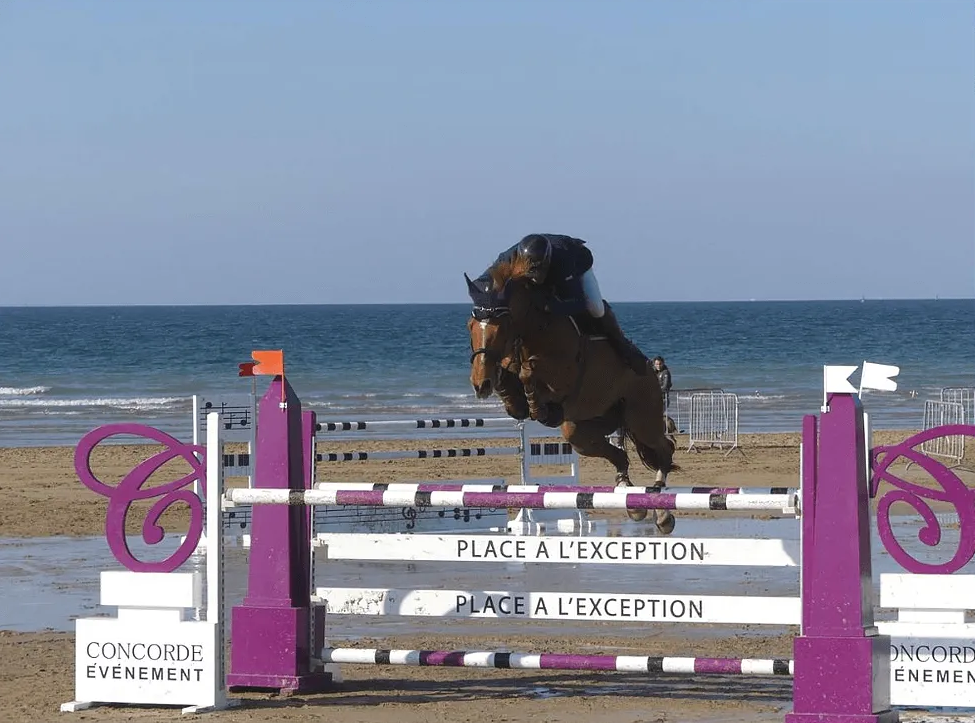 Cheval sautant au-dessus d'un obstacle lors d'un concours