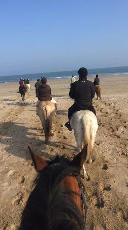 galerie photos - Promenade à cheval et poney à Ouistreham (14)
