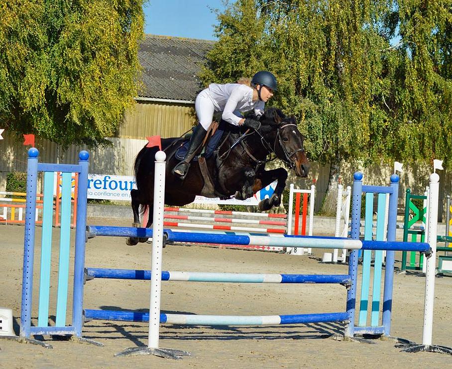 Cavalière sautant un obstacle bleu sur le dos de son cheval