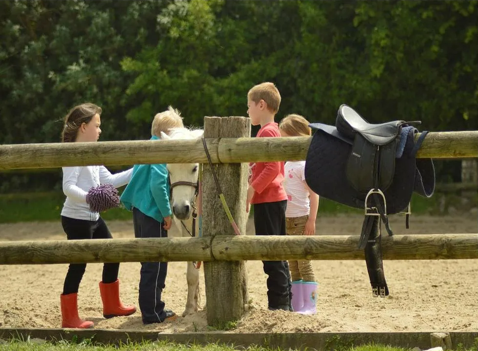 Enfants derrière une barrière en bois caressant un poney blanc
