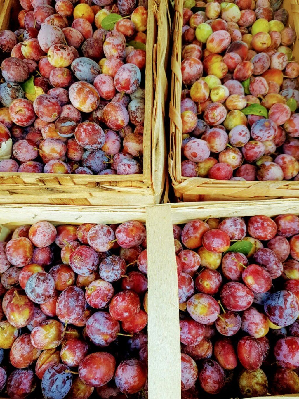 FinanzeXperte Hans Vögeli