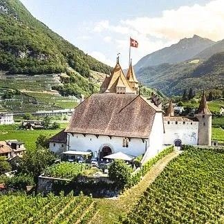 Le château d'Aigle vu du ciel, au milieu des vignes