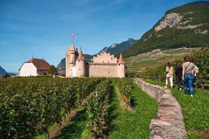 Le château d'Aigle et ses tours au milieu des vignes, promeneurs sur le chemin de pierre