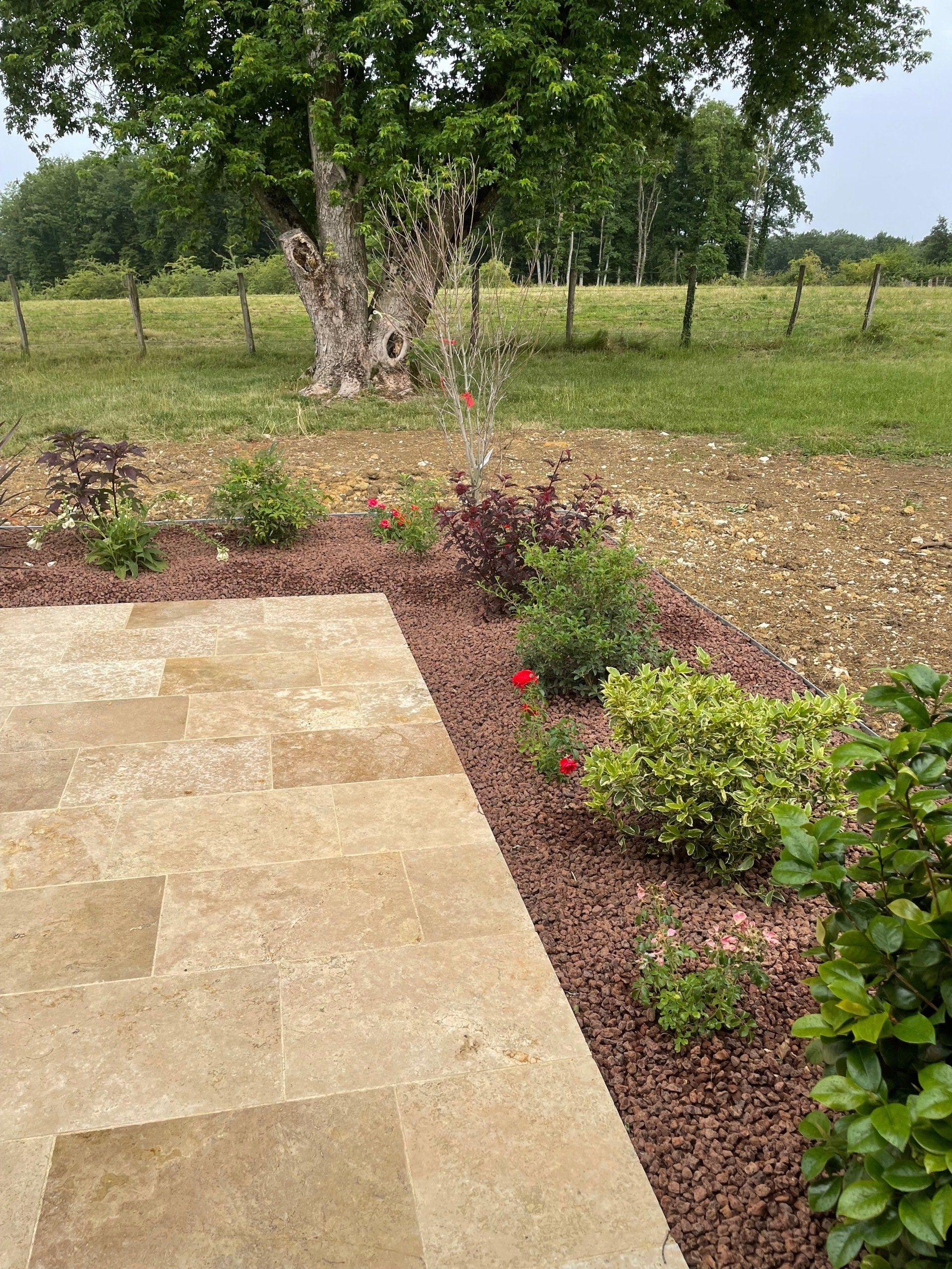 Création paysagère 3