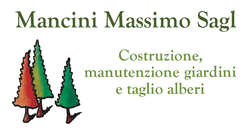 Mancini Massimo Sagl | Berzona