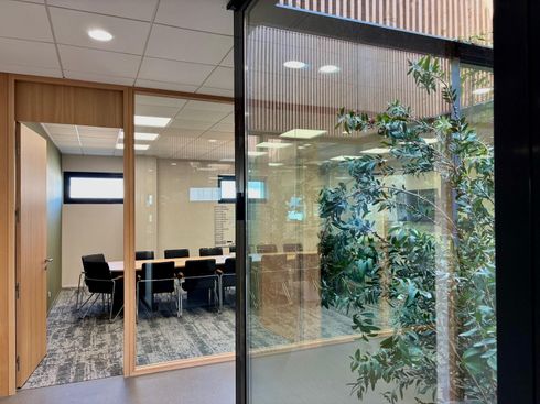 Salle de conférence aux parois de verre avec une longue table et des chaises noires, vue depuis un couloir avec une plante au premier plan.