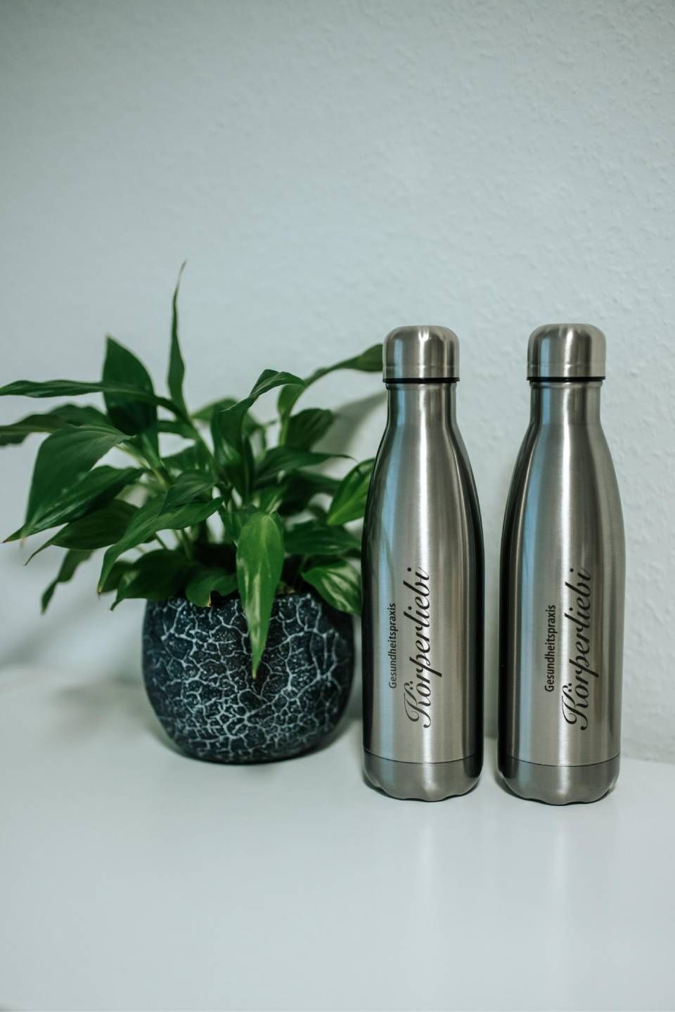 Zwei Edelstahl-Wasserflaschen mit Schriftzug neben einer Topfpflanze vor einer weissen Wand.