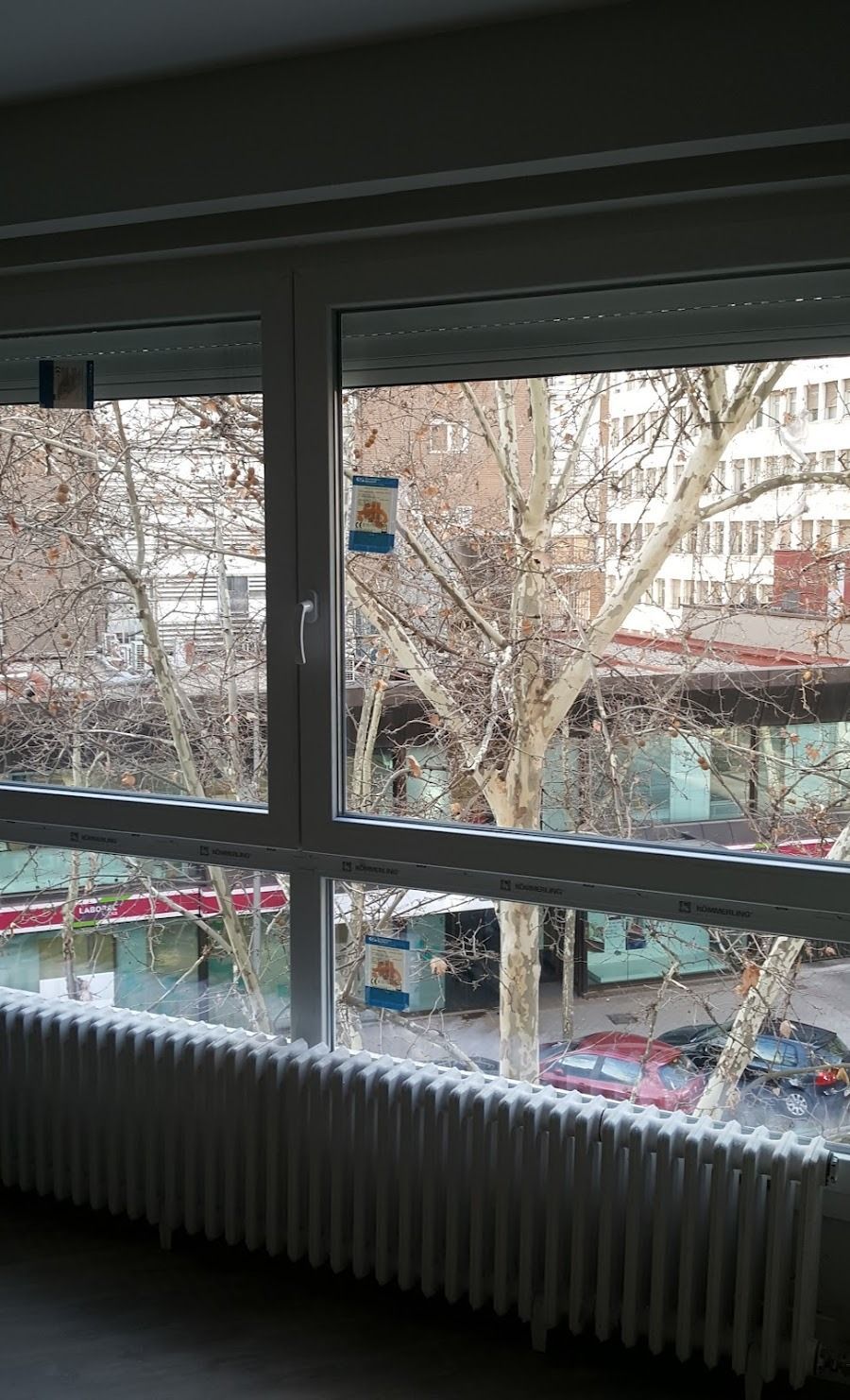 Vista de una calle lluviosa a través de una ventana, con árboles desnudos, coches aparcados y un radiador blanco debajo.