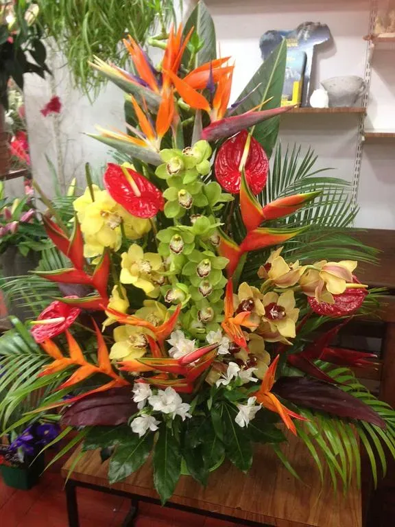 Compositions de plantes