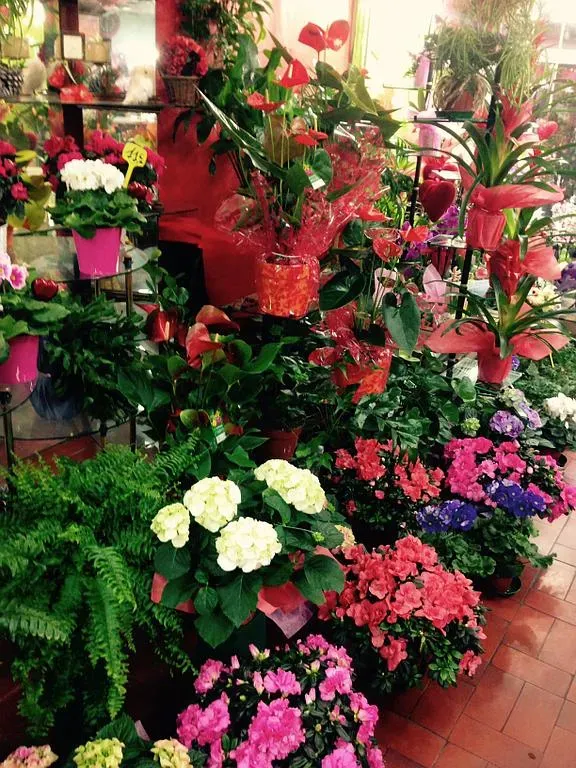 Plantes vertes et fleuries