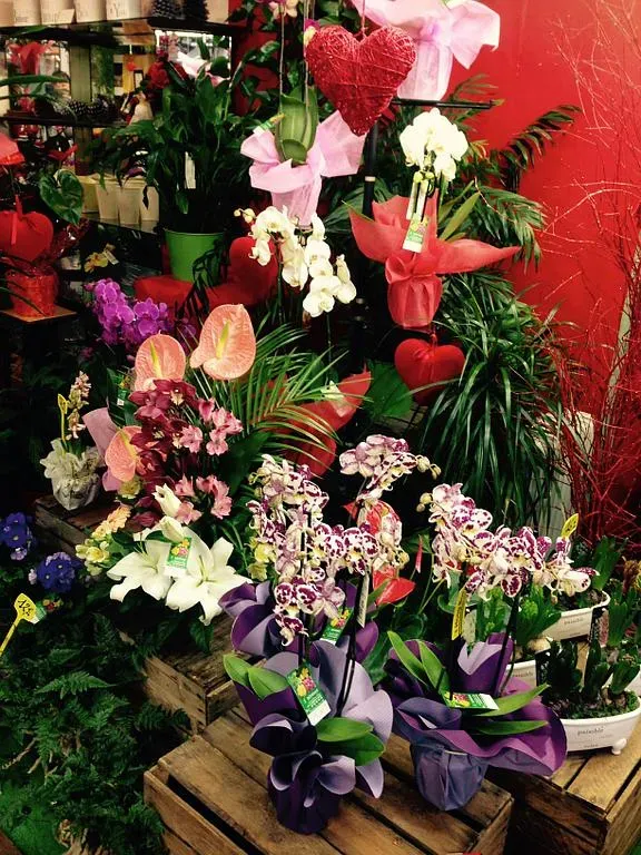 Variétés de fleurs