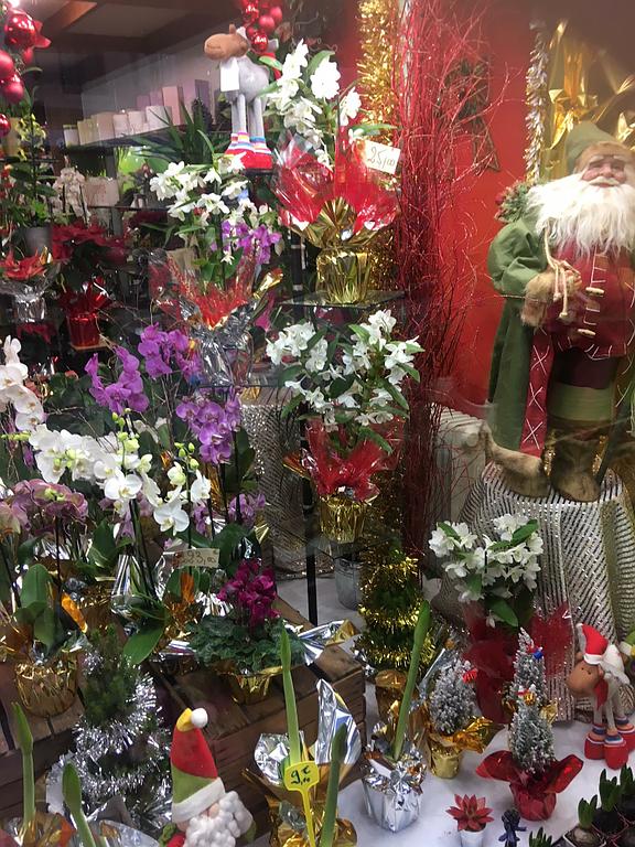 Variétés d'orchidées