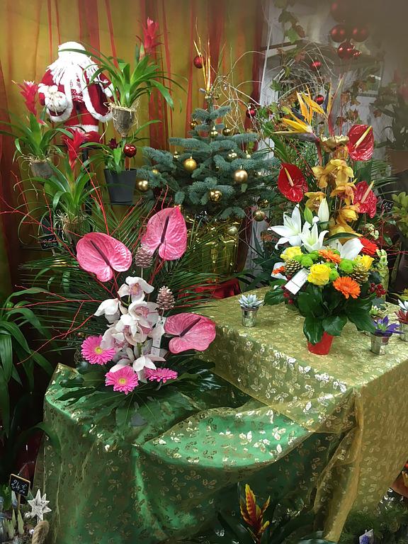 Ensembles de plantes