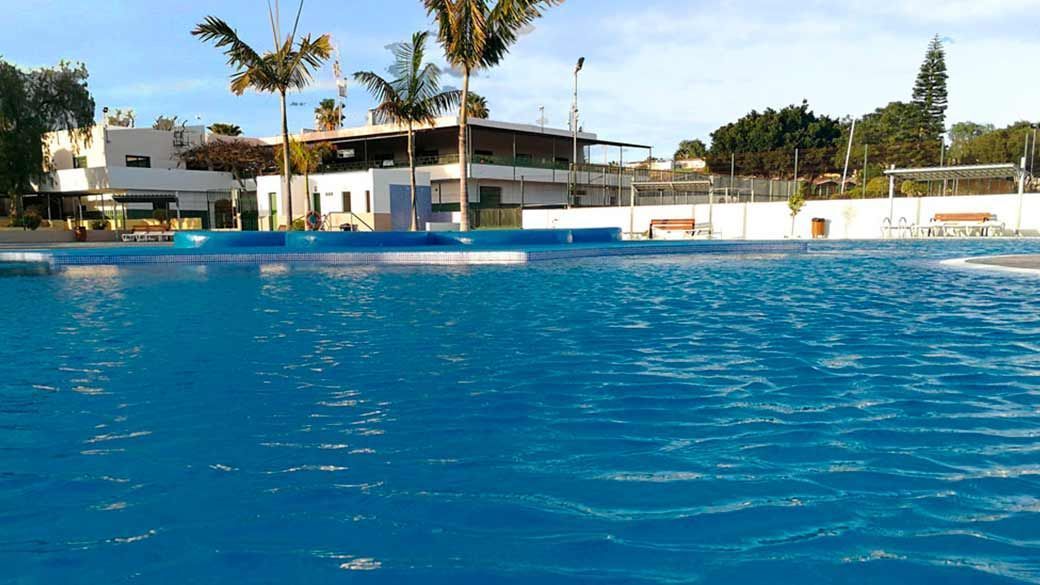 Una gran piscina con palmeras al fondo.