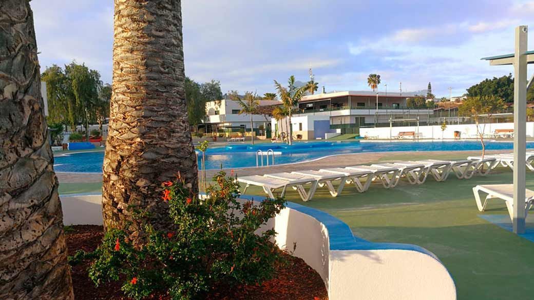 Una piscina con muchas sillas y una palmera en primer plano.