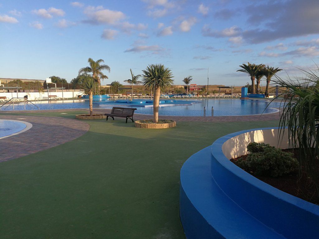 Una gran piscina con palmeras al fondo.