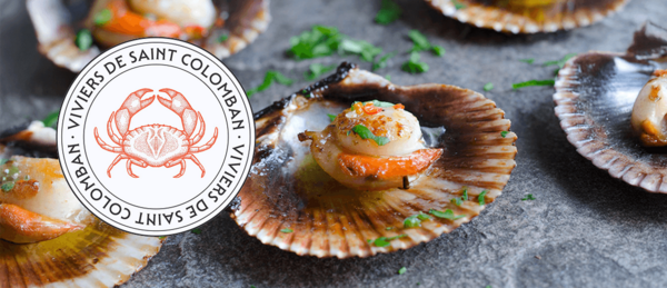 Présentaiton de coquilles Saint-Jacques cuisinées. Logo Viviers de Saint-Colomban.