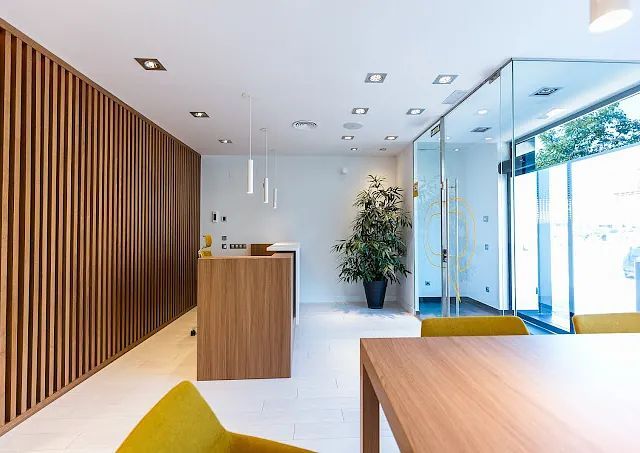 Una habitación con una mesa, sillas y una planta.