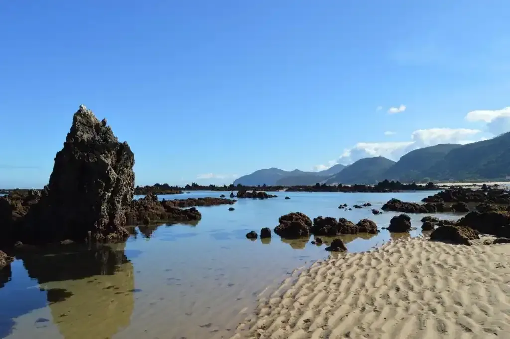 Los barriles de vino se alinean a lo largo de un pasillo arqueado de ladrillo que conduce a la bodega.