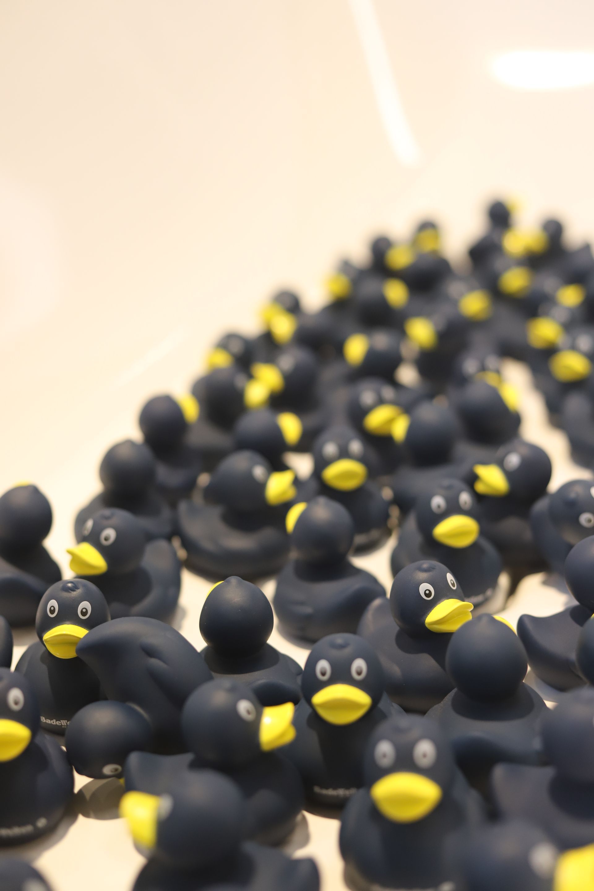 Ein Haufen schwarzer Gummienten mit gelben Schnäbeln